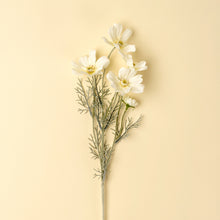 Load image into Gallery viewer, Cosmos Spray - White