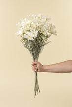 Load image into Gallery viewer, Cosmos Spray - White