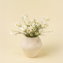 Load image into Gallery viewer, Cosmos Spray - White