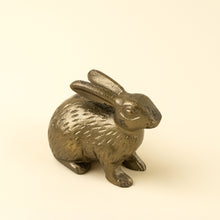 Load image into Gallery viewer, Cast Iron Rabbit - S