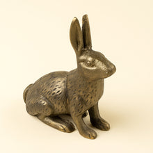 Load image into Gallery viewer, Cast Iron Rabbit - L