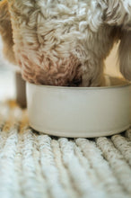 Load image into Gallery viewer, White Pottery Pet Bowl - L