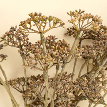 Load image into Gallery viewer, Meadow Grass Bouquet