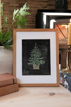 Load image into Gallery viewer, All Spruced Up