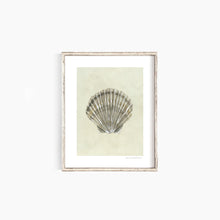 Load image into Gallery viewer, Clamshell