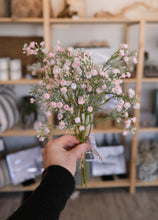 Load image into Gallery viewer, Pink Baby's Breath