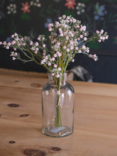 Load image into Gallery viewer, Pink Baby's Breath