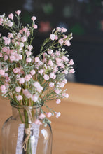 Load image into Gallery viewer, Pink Baby's Breath