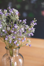 Load image into Gallery viewer, Lavender Baby's Breath