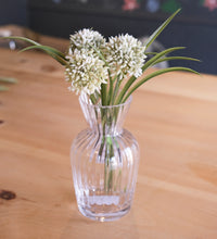 Load image into Gallery viewer, White Allium Grass Bundle