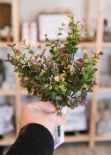 Load image into Gallery viewer, Burgundy &amp; Green Eucalyptus Bush