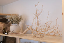 Load image into Gallery viewer, Manzanita Branch