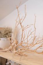 Load image into Gallery viewer, Manzanita Branch