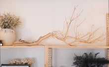 Load image into Gallery viewer, Manzanita Branch