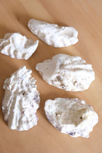 Load image into Gallery viewer, Hand Painted Oyster Shell - Lemons