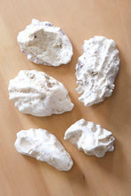 Load image into Gallery viewer, Hand Painted Oyster Shell - Blueberries