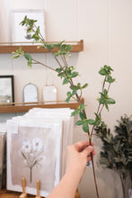 Load image into Gallery viewer, Berry Leaf Stem