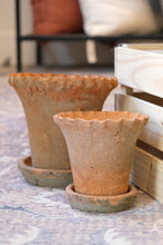 Load image into Gallery viewer, Frilly Edge Terracotta Pot - Large