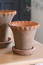 Load image into Gallery viewer, Frilly Edge Terracotta Pot - Small