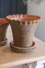 Load image into Gallery viewer, Frilly Edge Terracotta Pot - Large