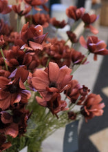 Load image into Gallery viewer, Rust Calliopsis Spray