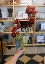 Load image into Gallery viewer, Rust Calliopsis Spray