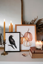 Load image into Gallery viewer, Pumpkins
