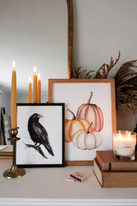 Pumpkins