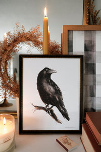 Raven