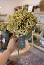 Load image into Gallery viewer, Faded Green Hydrangea Stem