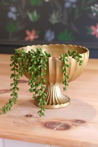 Gold Scalloped Compote