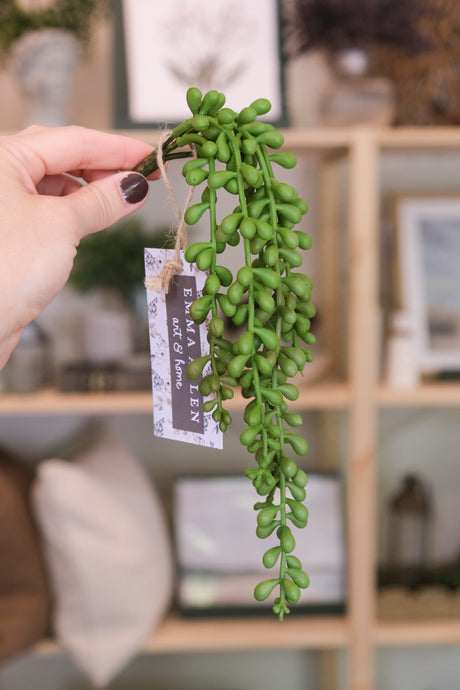 String of Pearls Stem