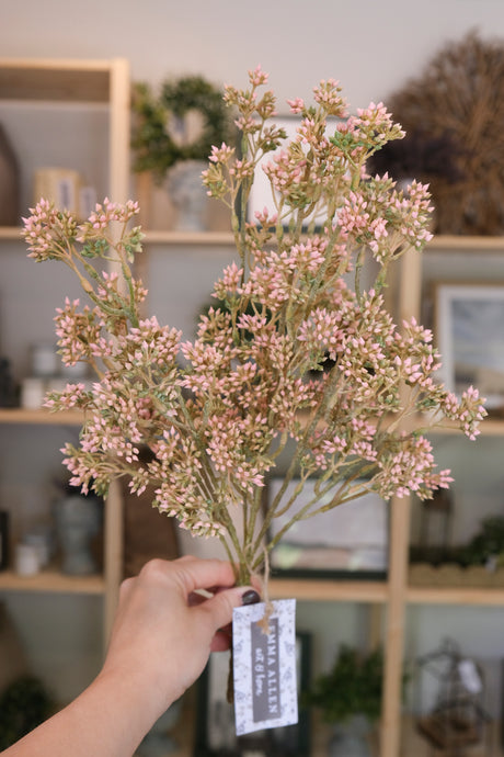Pink Seeded Eucalyptus Bush