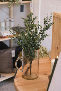Boxwood Bush