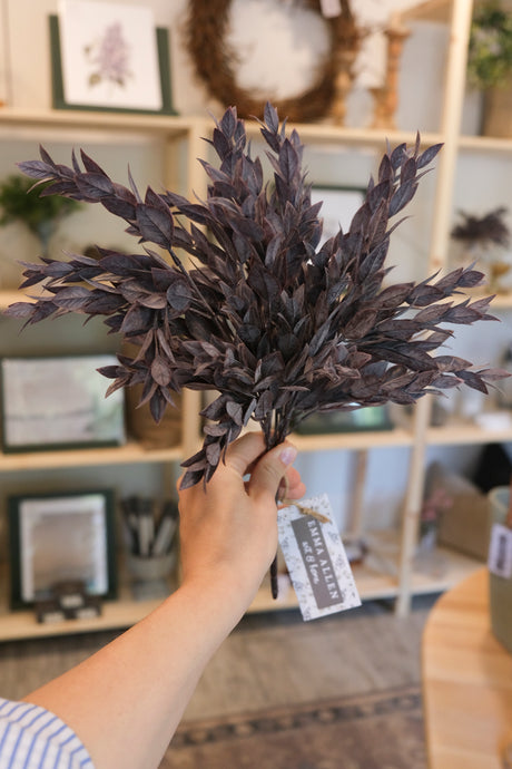 Burgundy Ruscus Leaves Bush