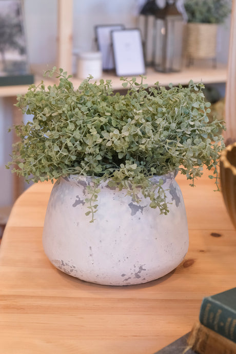 Distressed Cement Pot