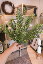 Load image into Gallery viewer, Eucalyptus Bush - Large