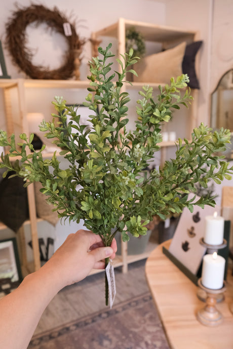 Eucalyptus Bush - Large