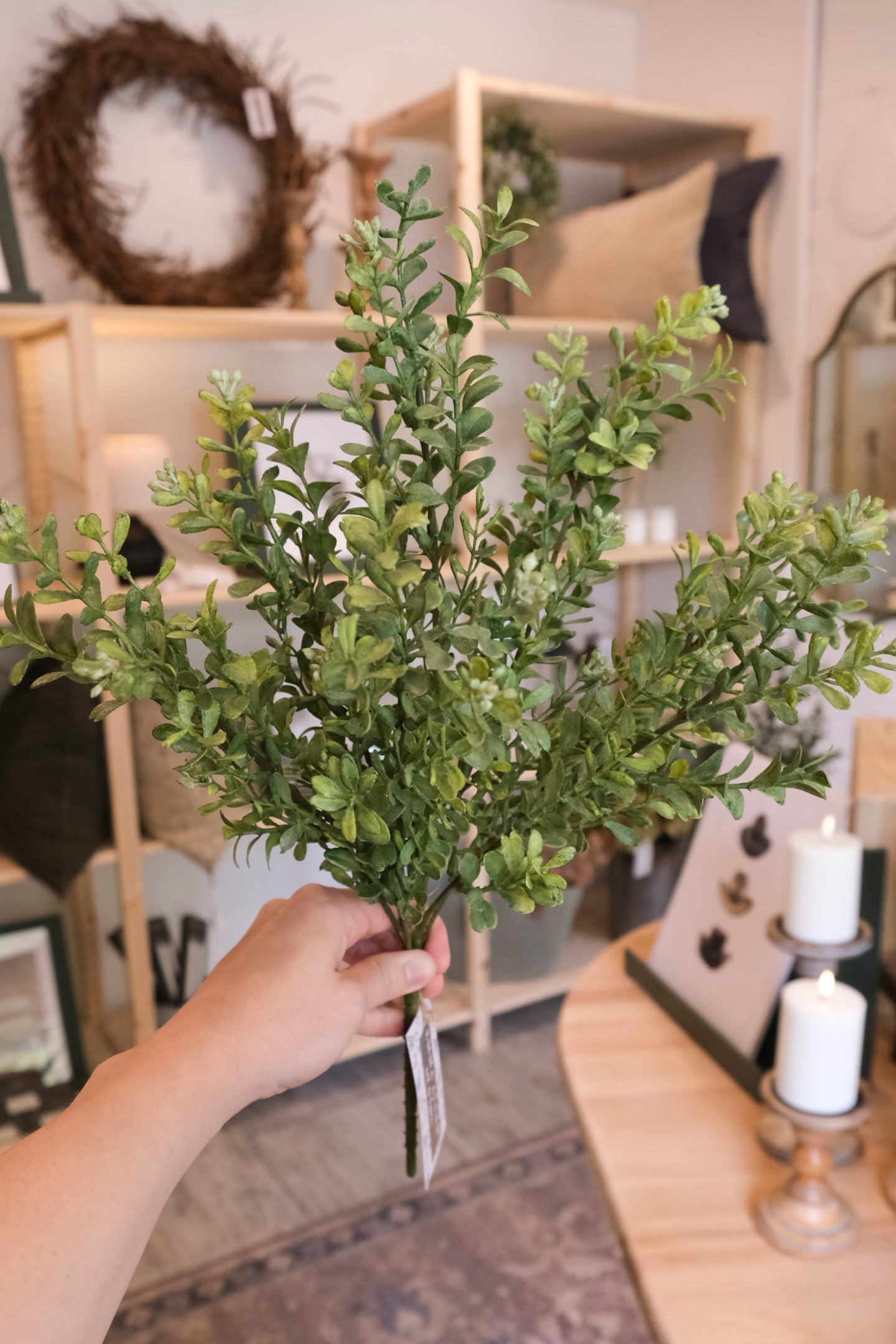 Eucalyptus Bush - Large