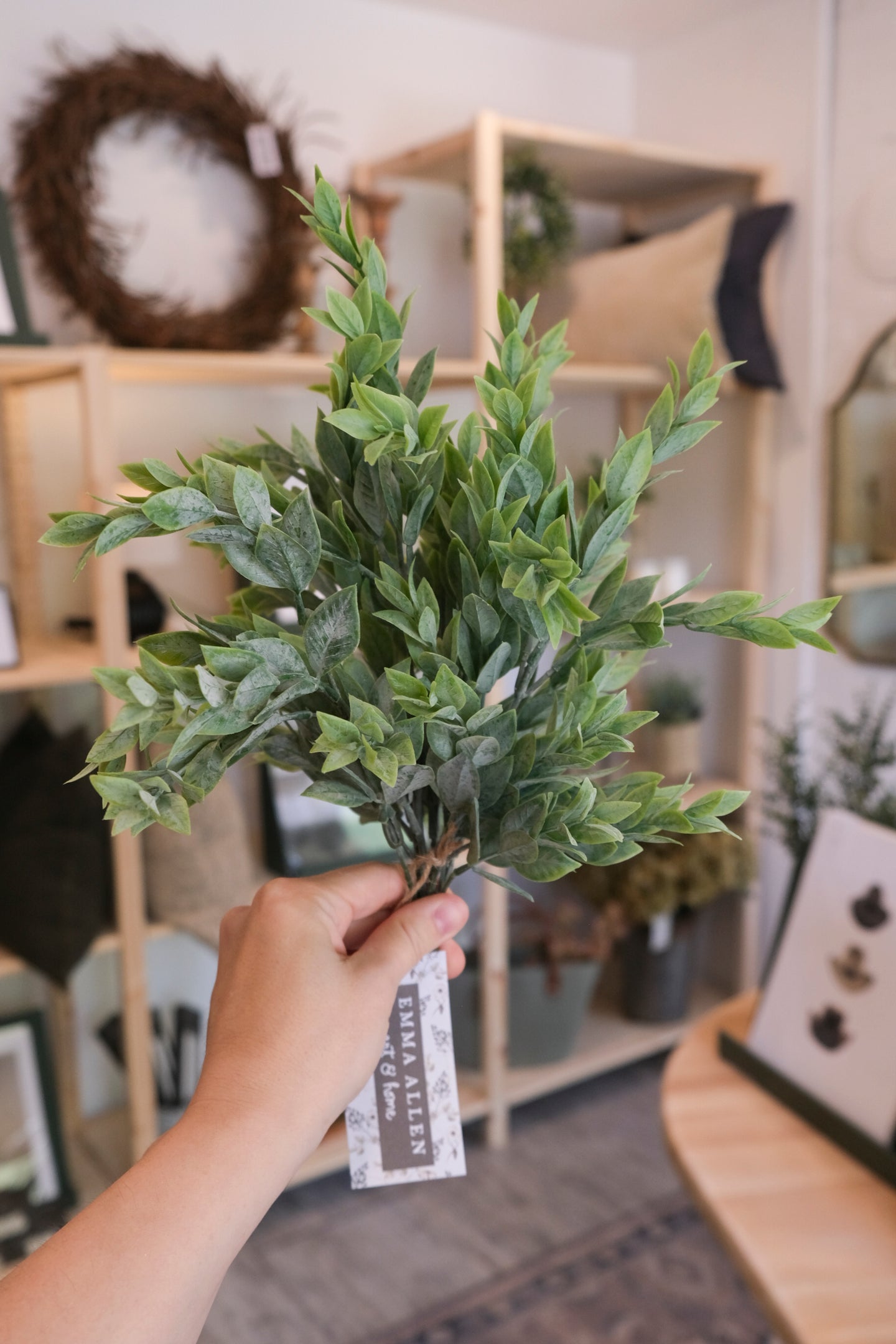 Green Ruscus Leaves Bush