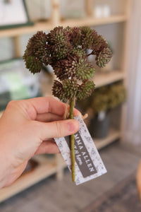 Fresh Touch Sedum Pick