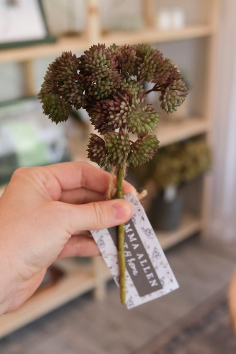 Fresh Touch Sedum Pick