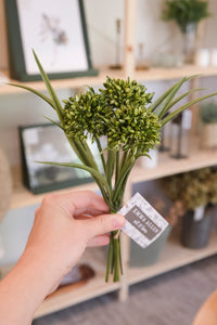 Green Allium Grass Bundle
