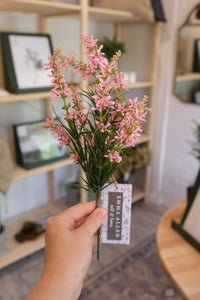 Pink Sweet Veronica Bush