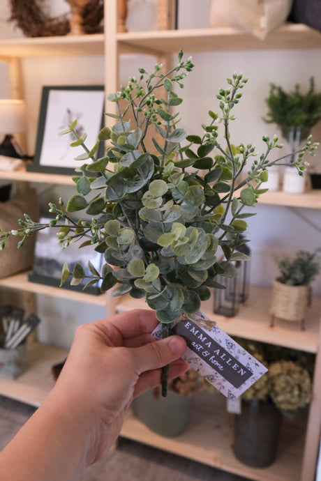 Eucalyptus Bush