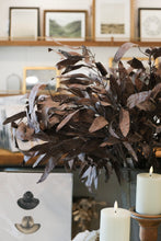 Load image into Gallery viewer, Dried Eucalyptus Stem