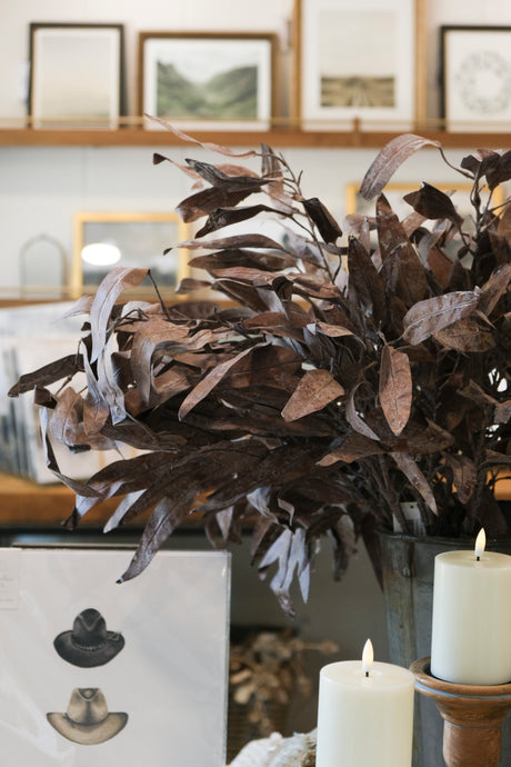 Dried Eucalyptus Stem