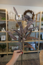 Load image into Gallery viewer, Dried Eucalyptus Stem