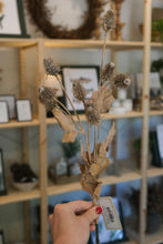Load image into Gallery viewer, Dried Thistle Spray