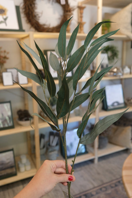 Willow Greenery Stem